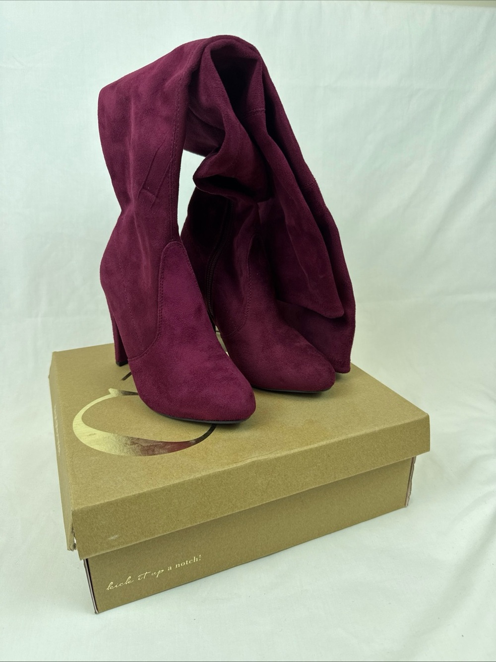 Charlotte Russe Amaya Women's Over-the-Knee Block Heel Boots in Burgundy